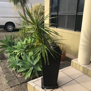 Meet your Posher, Lesa